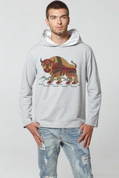Men's Hoodie "Carpathian Bison", L