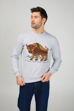 Men&rsquo;s sweatshirt "Carpathian Bison", S